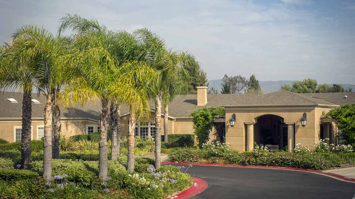 A residential home surrounded by palm trees and a well-maintained garden.