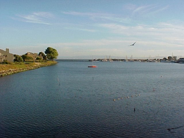 Bay Harbour Care Home