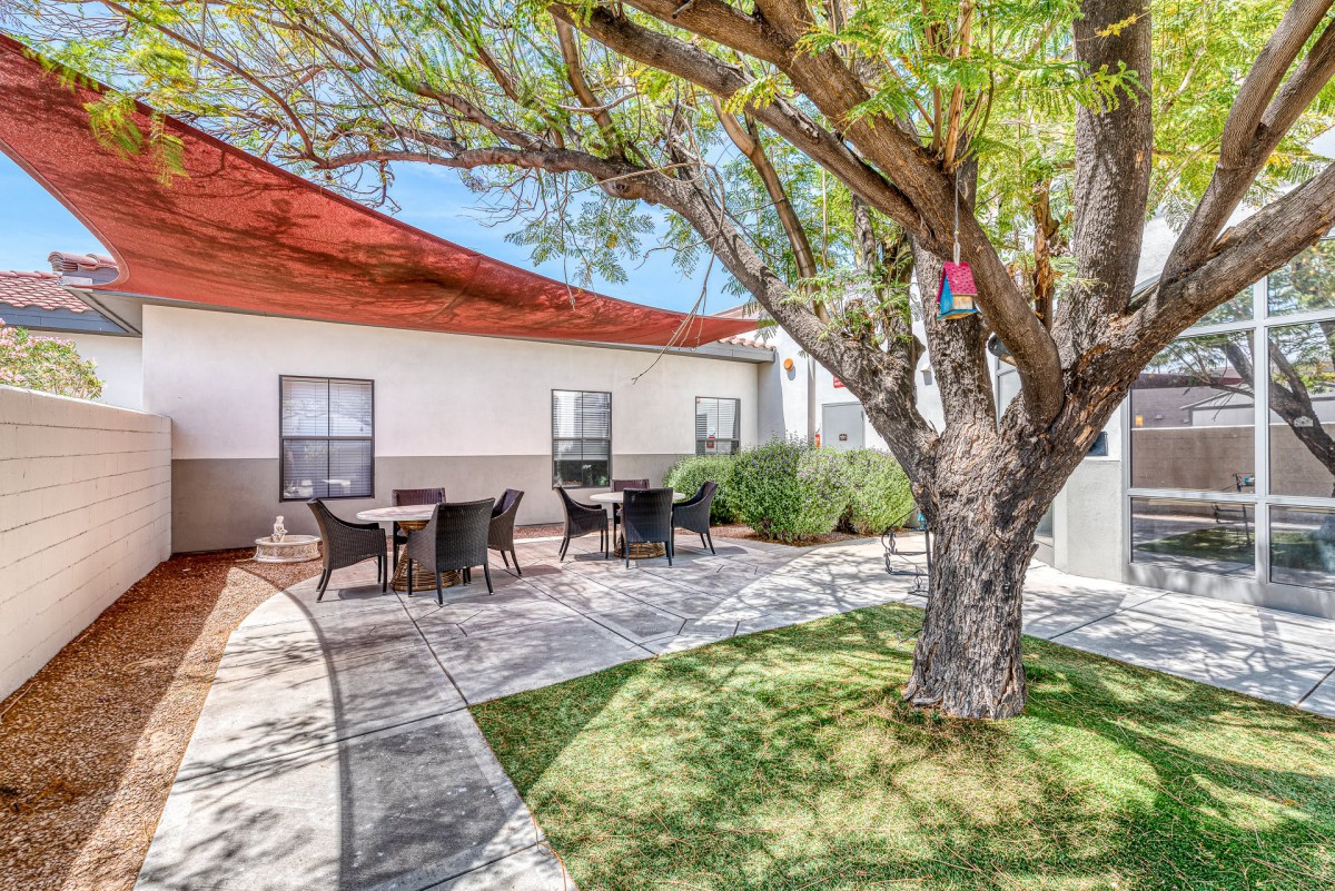 A serene courtyard featuring outdoor seating under a tree and shade sails.