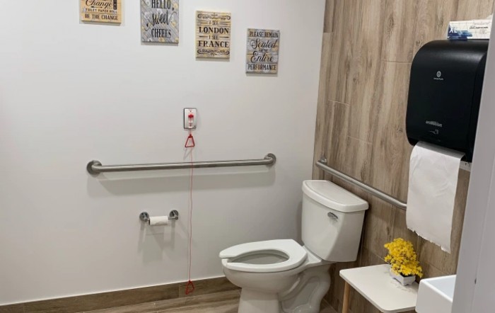 A well-equipped, accessible bathroom with decorative wall art and grab bars for safety.