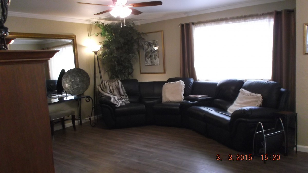 A cozy living room featuring a black leather sectional sofa, complemented by a floor lamp and a decorative plant, with wood flooring and two windows adorned with curtains.
