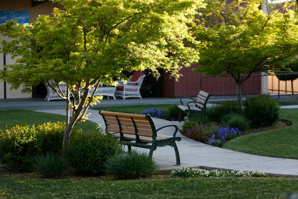 A serene park setting with benches along a winding pathway surrounded by lush greenery.