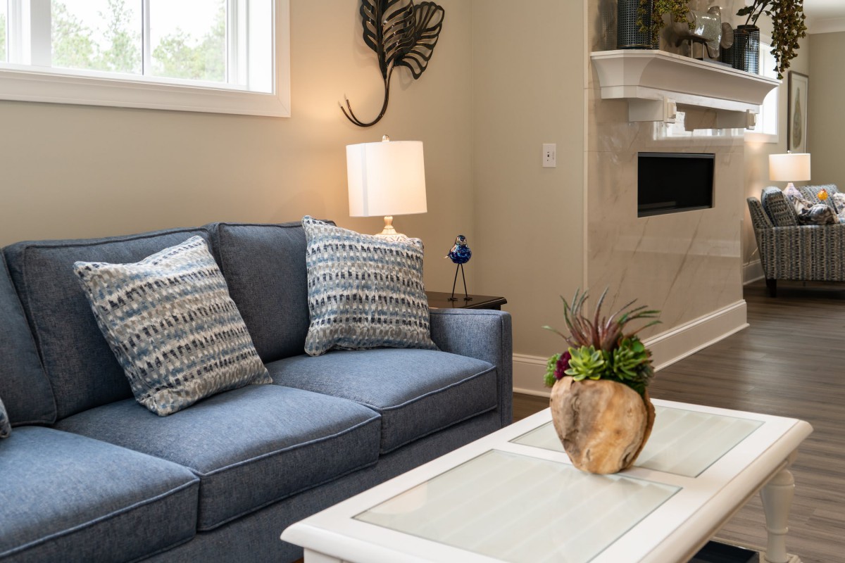 A cozy living room with a blue sofa, decorative pillows, and a stylish coffee table accented by a green plant.