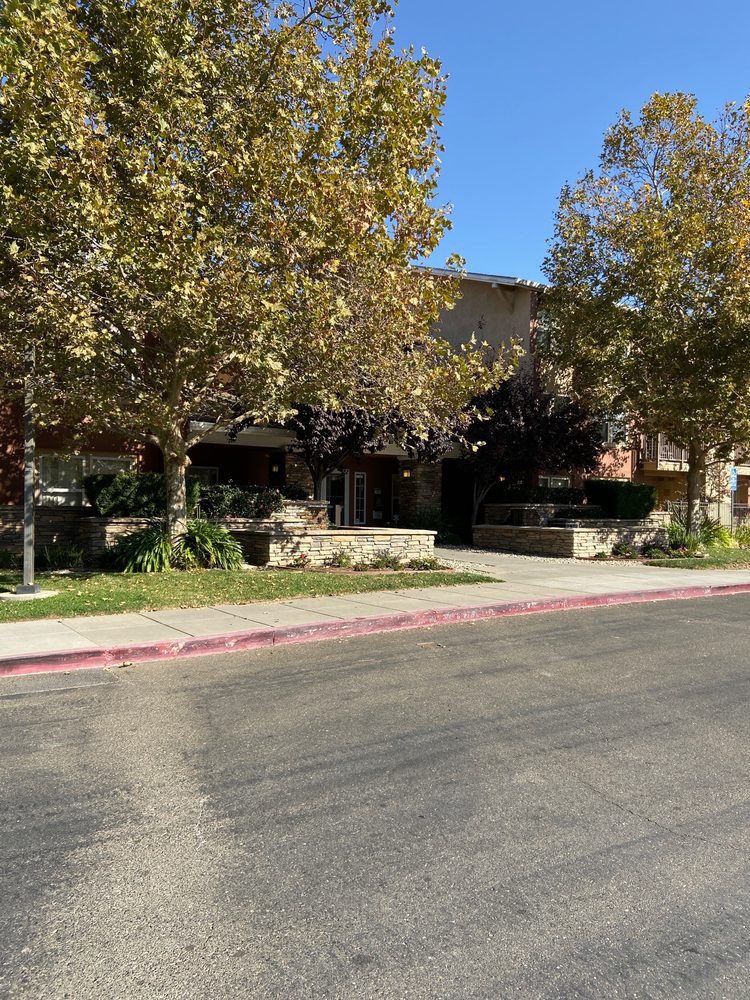 A quiet street view featuring a building surrounded by trees in autumn.