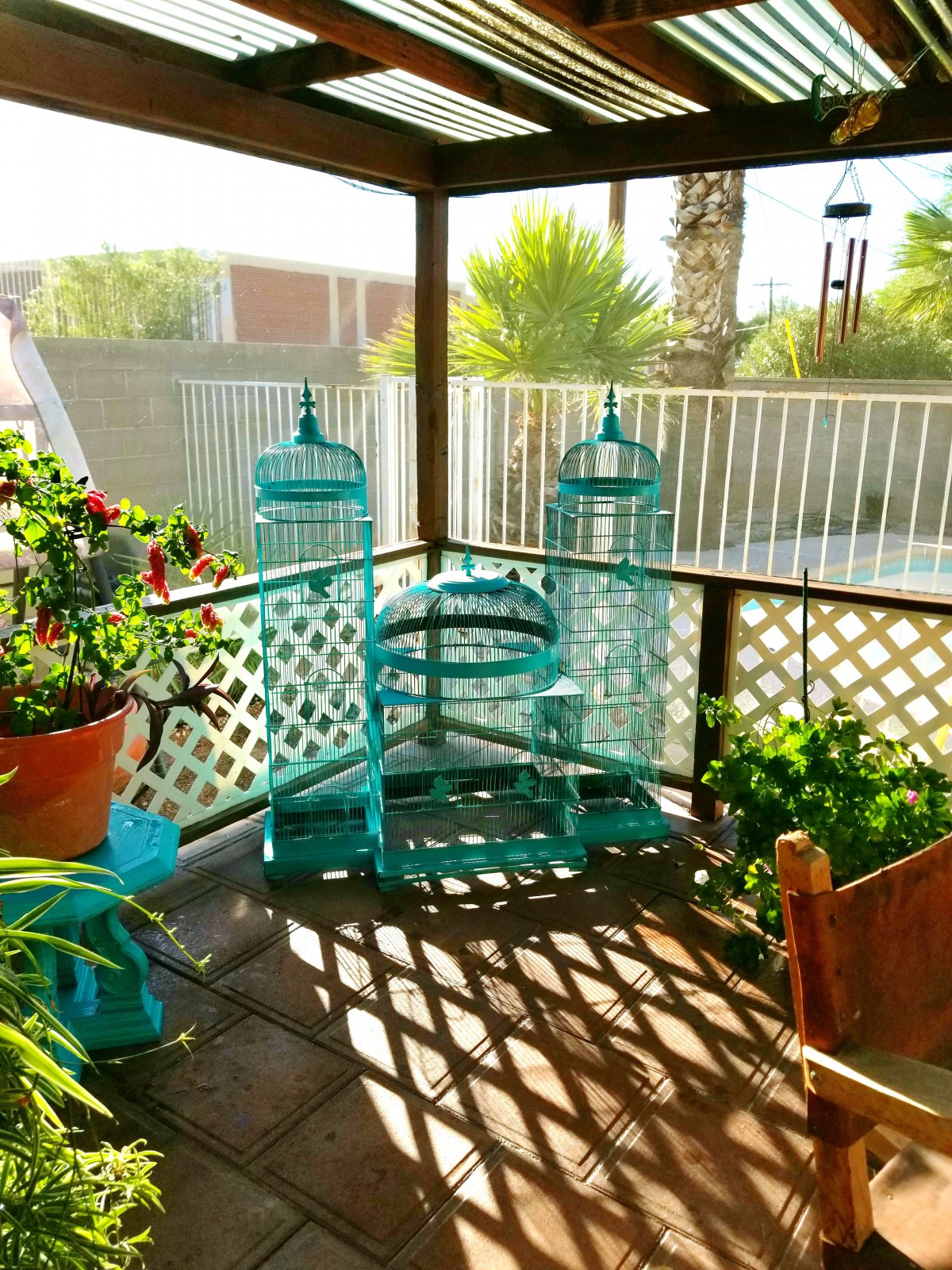 A sunny patio corner adorned with turquoise birdcages and lush green plants.