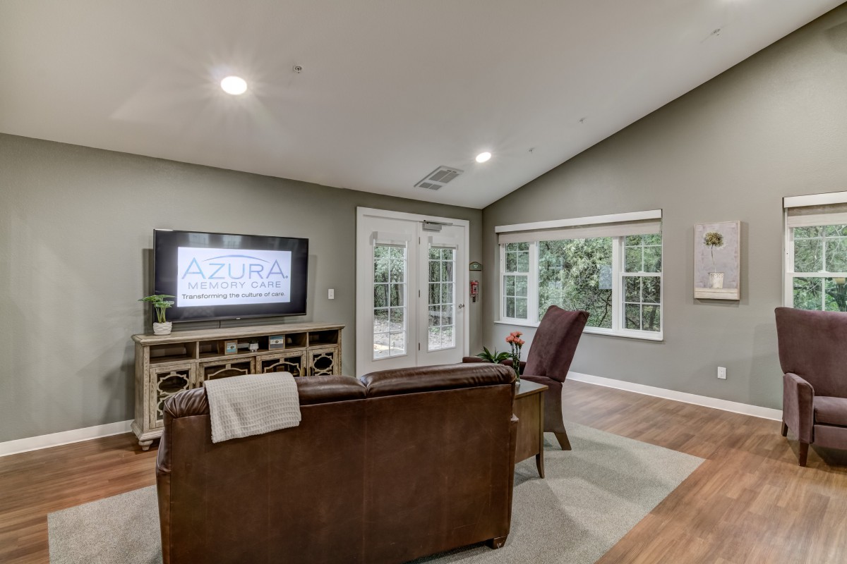 A cozy living room with a television, sofa, armchair, and large windows.