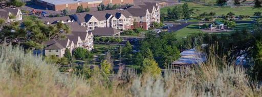 A view of a suburban apartment complex surrounded by lush greenery.