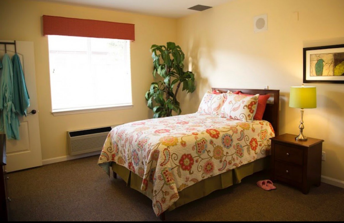 A cozy bedroom with a floral bedspread, a large window, and a potted plant in the corner.