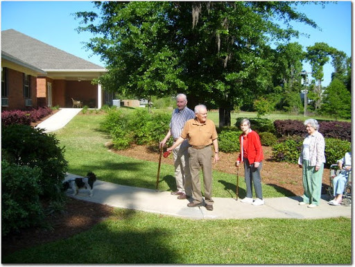 A group of seniors enjoying a walk outdoors with their dog.