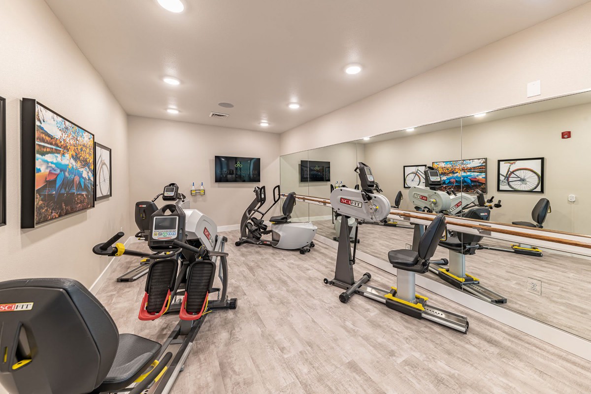 A modern home gym with various exercise equipment and mirrored walls.