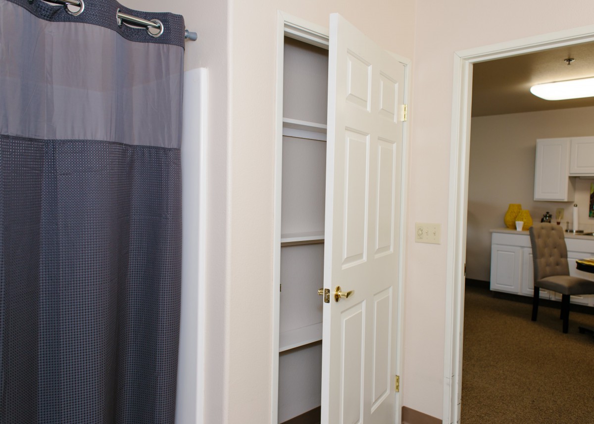 An open closet door revealing empty shelves in a room.