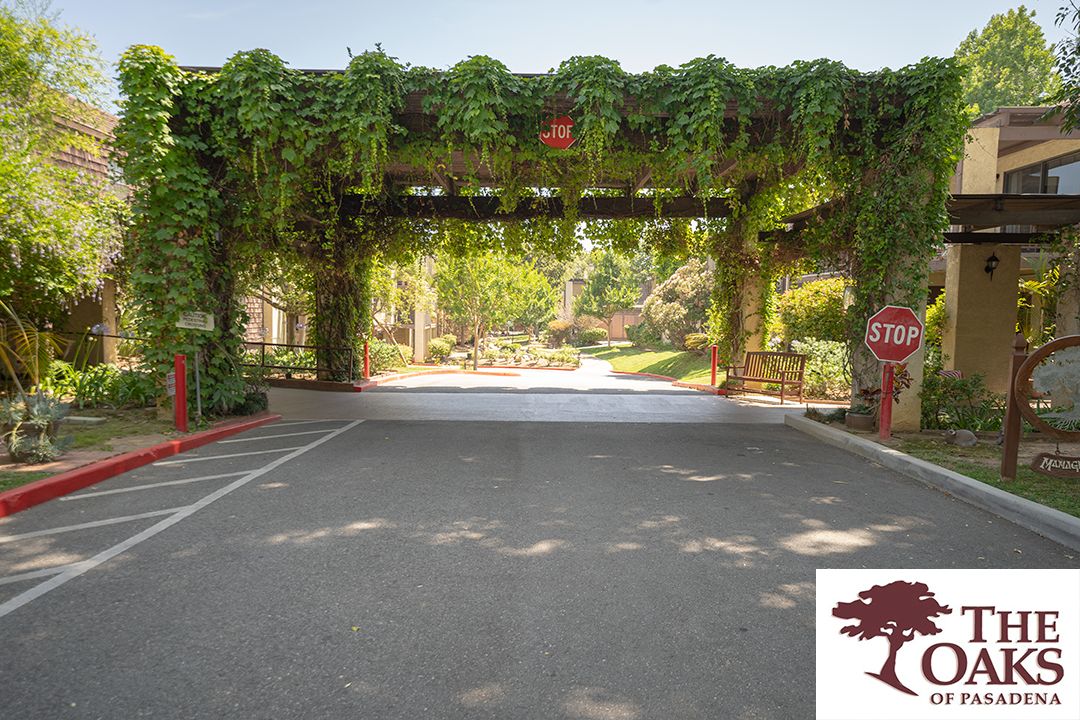 An entrance archway covered with lush greenery and ivy, leading to a scenic outdoor pathway.