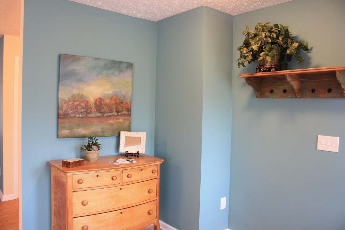 A cozy corner of a bedroom with a wooden dresser, artwork on the wall, and decorative plants on a shelf.