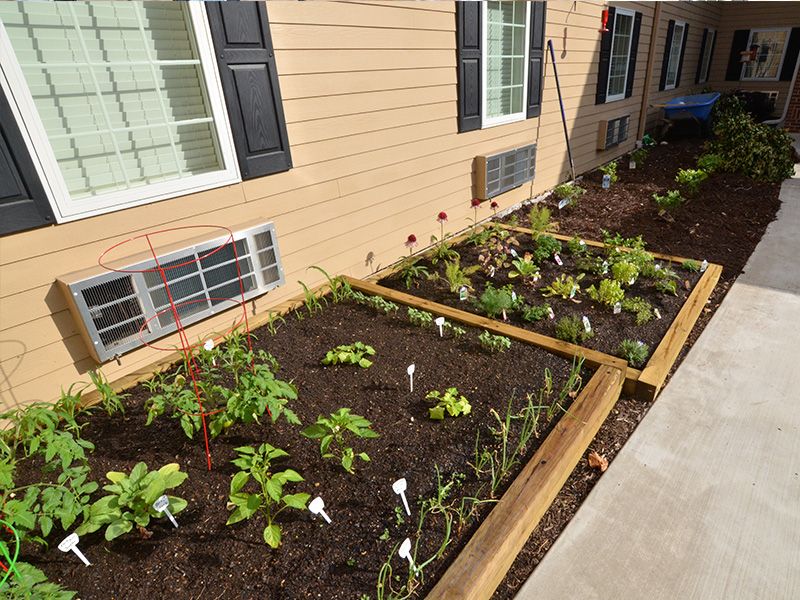 A well-maintained garden with raised beds filled with various plants in front of a house.