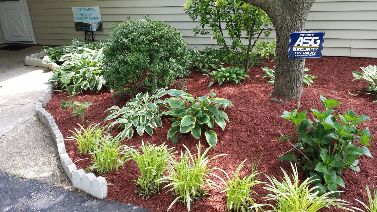 A well-maintained garden with various plants and red mulch.
