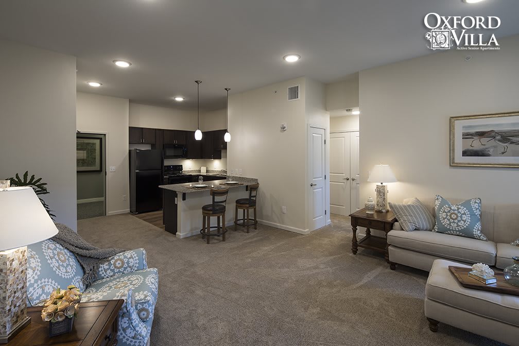 A modern open floor plan combining the living room and kitchen area, featuring contemporary furniture and ceiling lighting.