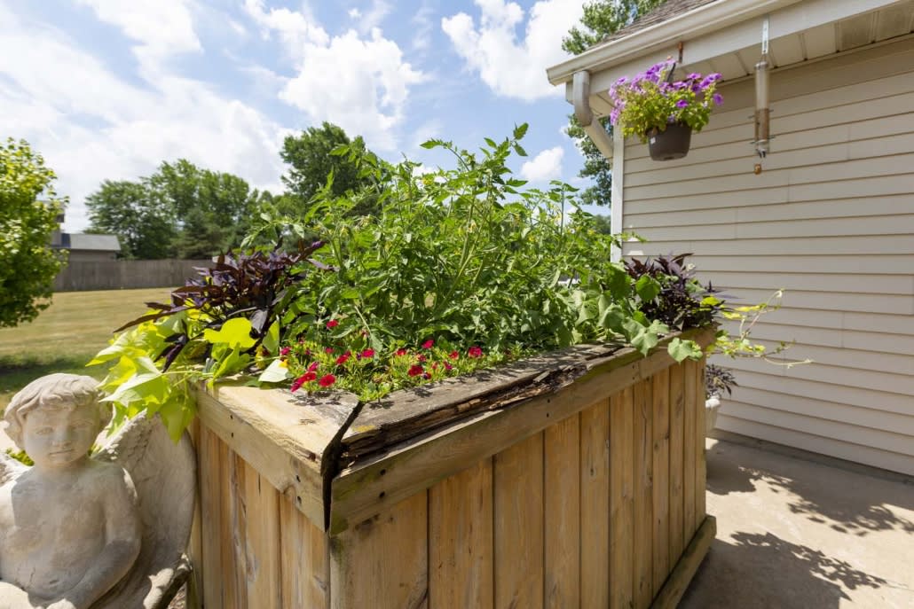 A thriving raised garden bed filled with various plants beside a house on a sunny day.