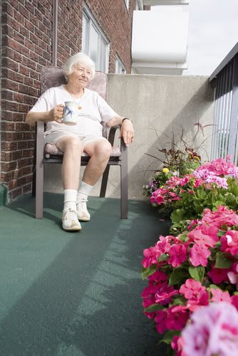 An elderly person relaxing on a balcony surrounded by blooming flowers.