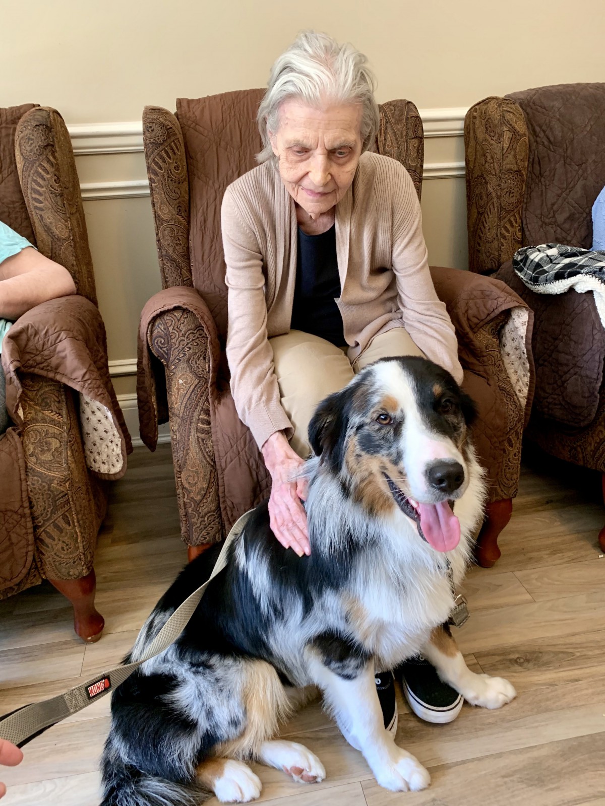 An elderly person enjoying the company of a friendly dog in a cozy setting.