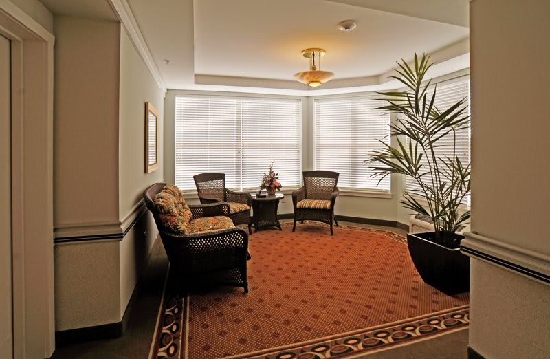 A cozy waiting area with chairs and a small table, decorated with plants and natural lighting.