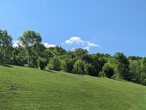 Crestview Terrace