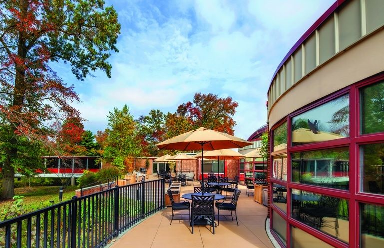 A scenic outdoor patio area with tables, chairs, and umbrellas adjacent to a building, surrounded by trees under a clear sky.