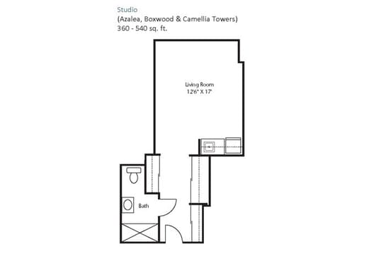 Floor plan of a studio apartment with separate bath and living area.