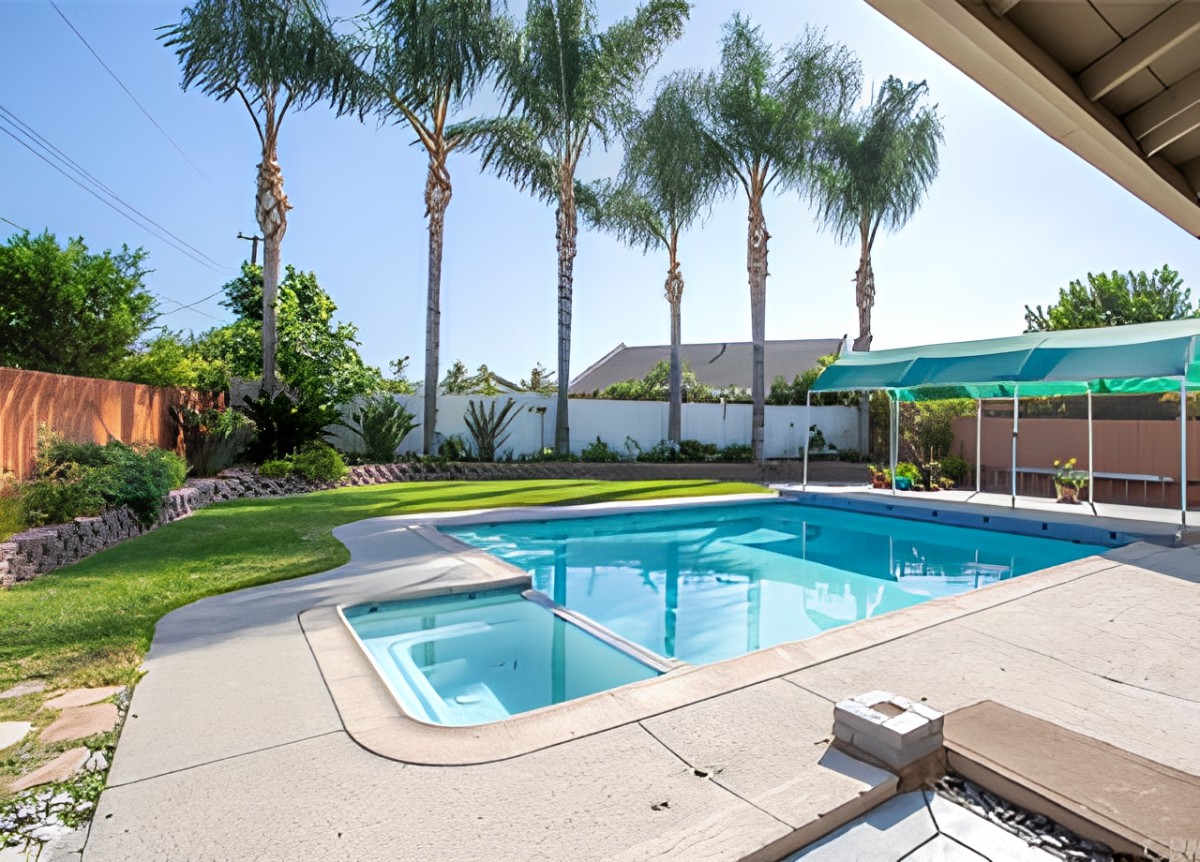 A sunny backyard with a swimming pool and palm trees.