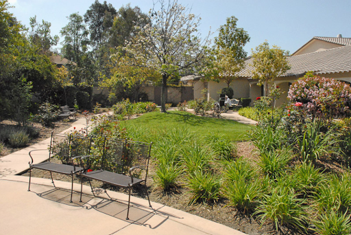 A serene garden space with lush greenery and a winding pathway, perfect for relaxation.