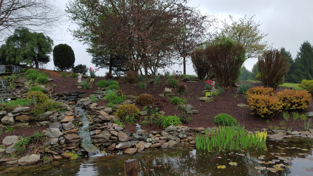 A serene garden landscape with a small waterfall and pond, surrounded by lush greenery and trees.