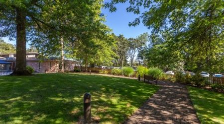 A sunny day in a tranquil park with lush greenery and a winding pathway.