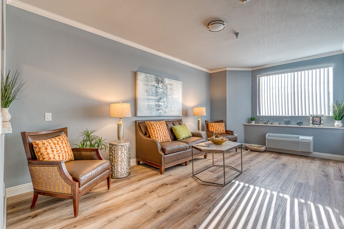 A modern and cozy living room with stylish furniture and decor.