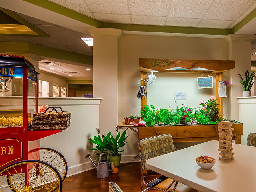 A cozy kitchen area with an indoor garden providing a touch of greenery.