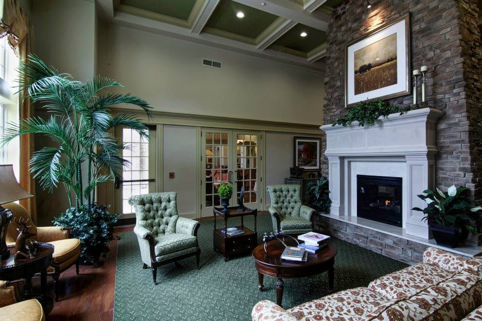 A cozy living room featuring a fireplace, elegant chairs, and decorative plants.