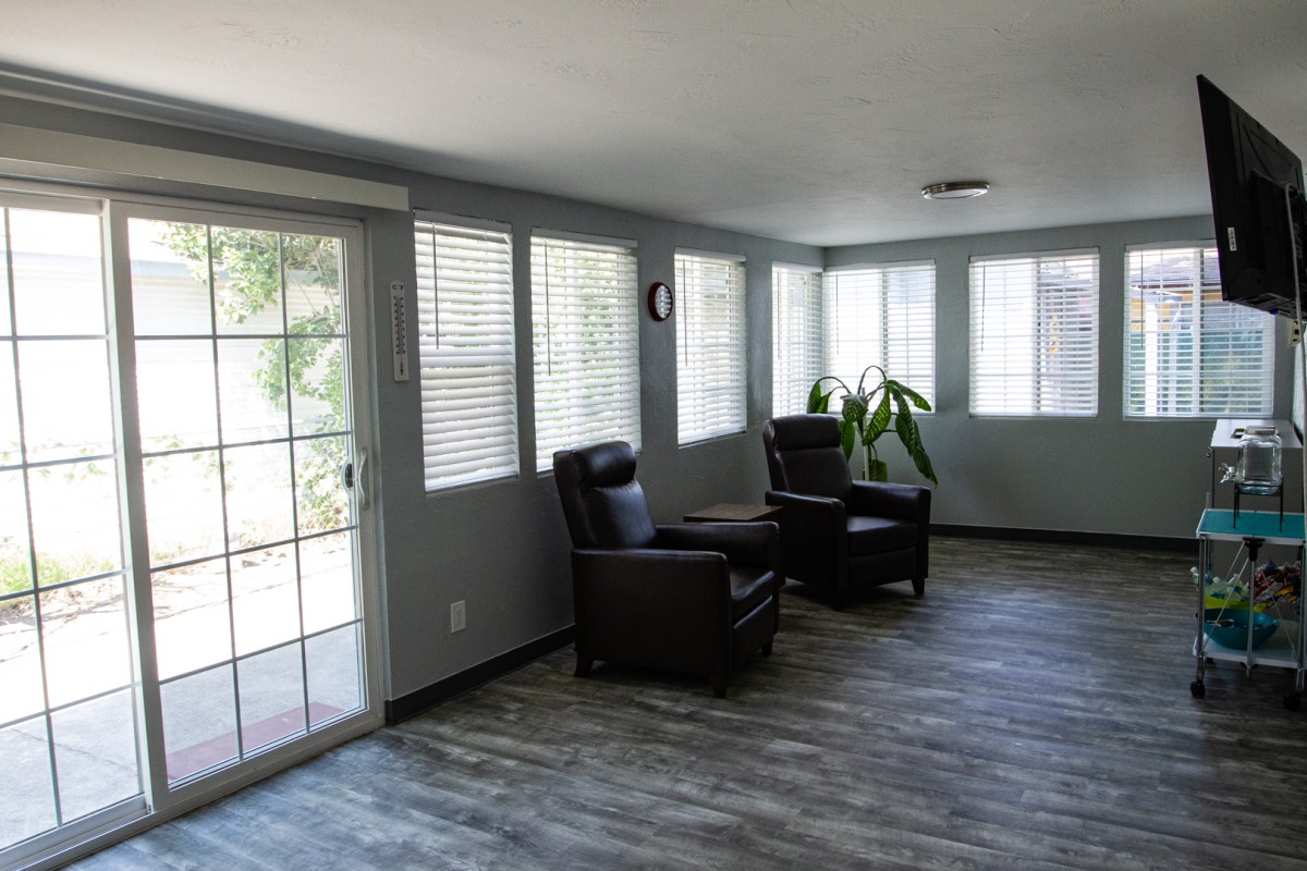 A bright living room with large windows, two chairs, and a plant.