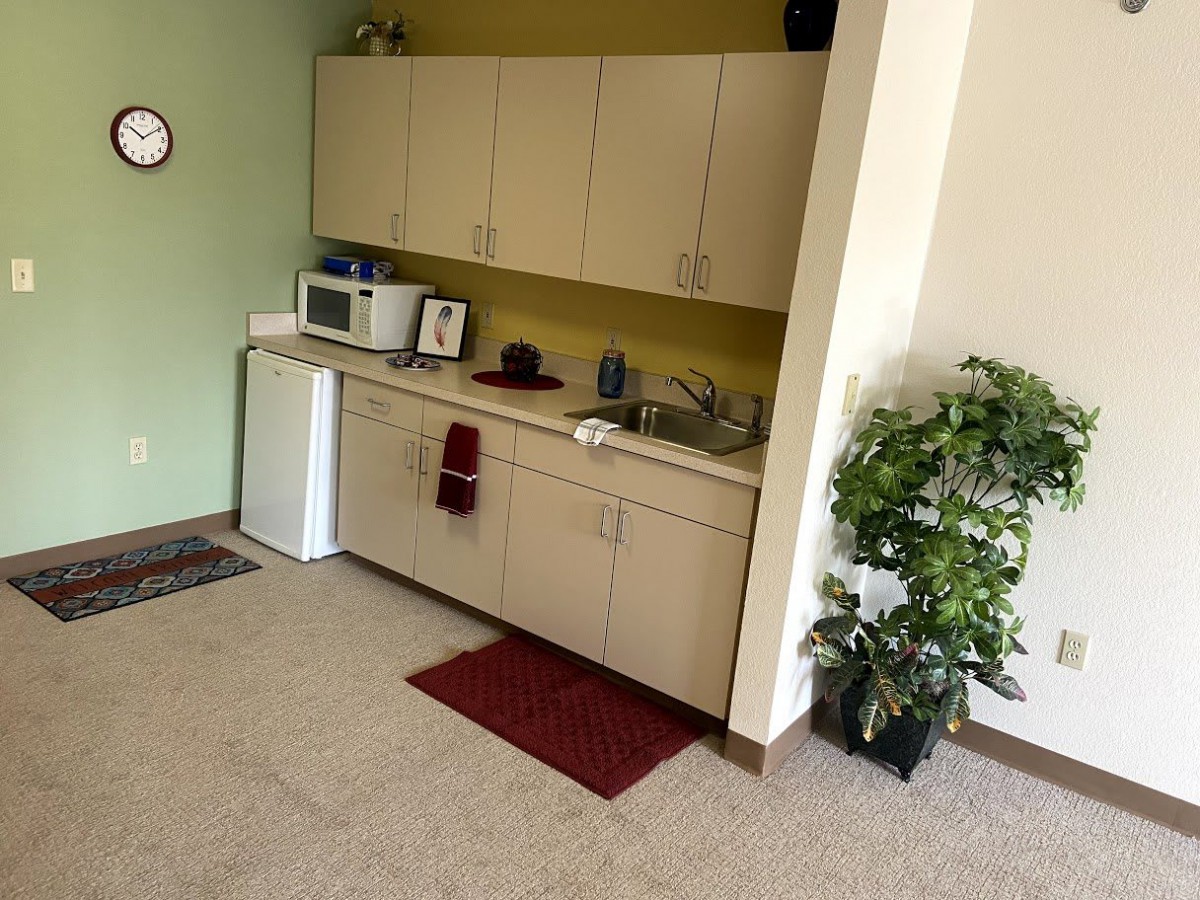 A small kitchenette with a microwave, mini fridge, and cabinets, featuring a red rug and an indoor plant.