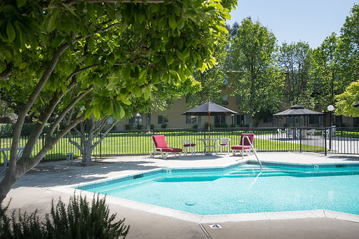 A serene outdoor pool area surrounded by lush greenery, perfect for relaxation.