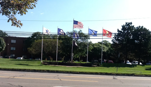 A display of various flags, including the American flag, in a park setting.