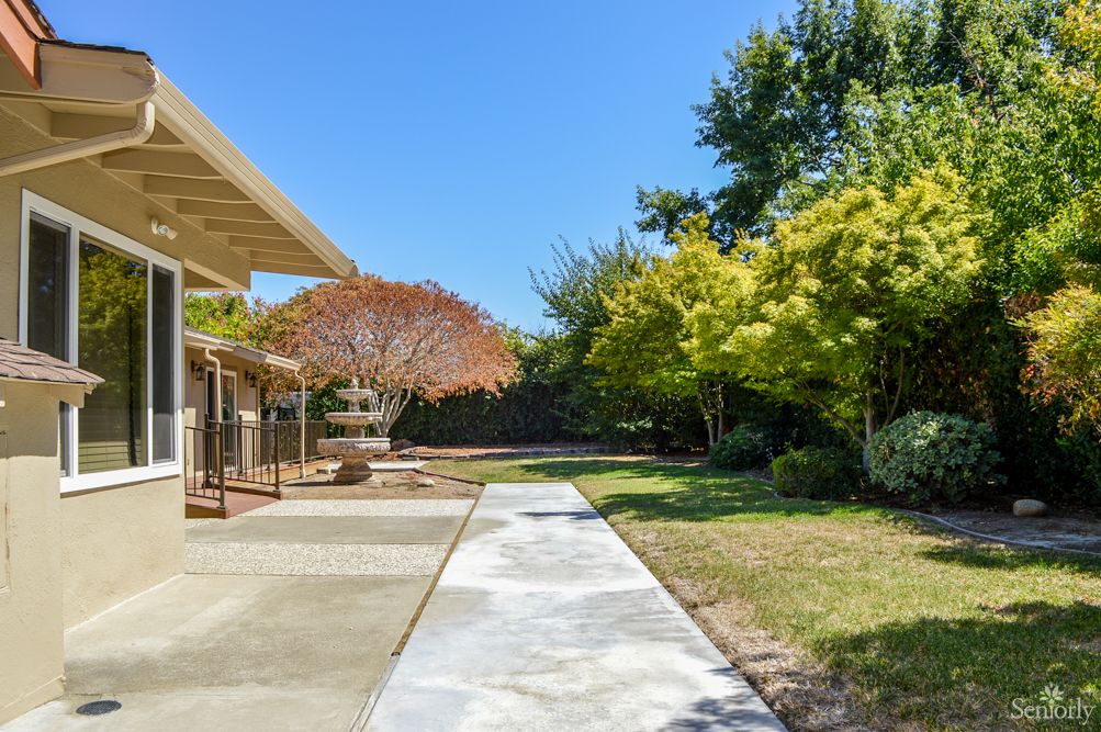 A sunny backyard with a concrete patio and lush green trees.