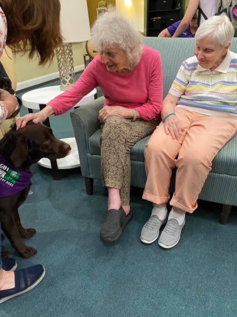 Two elderly women interacting with a therapy dog indoors.