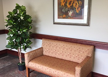 A cozy waiting room with a patterned sofa, decorative painting, and an indoor plant.