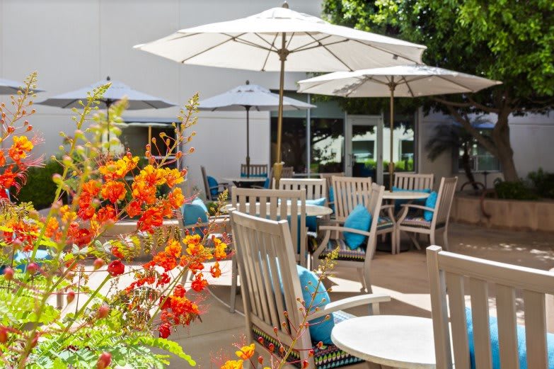 A sunny patio with wooden tables, chairs, and umbrellas surrounded by vibrant flowers.