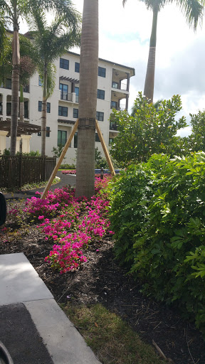 A vibrant garden featuring blooming flowers and lush greenery, set against a modern building.