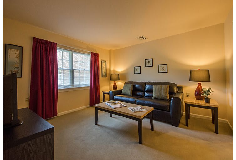 A cozy living room with a black sofa, coffee table, and warm lighting.