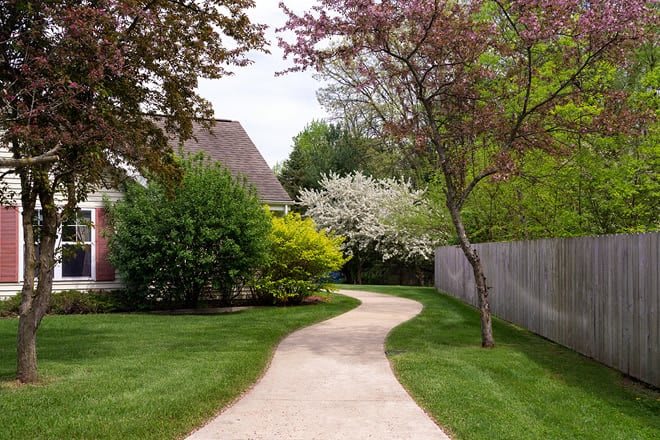 A winding garden pathway bordered by vibrant trees and lush greenery in spring.