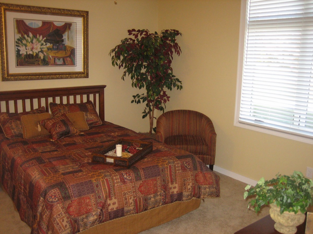 A cozy bedroom with warm decor, featuring a bed, decorative pillows, a framed painting, and indoor plants.