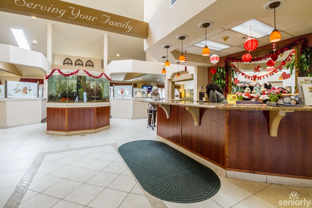 A modern buffet restaurant interior with a welcoming atmosphere, featuring wooden counters and decorative plants.
