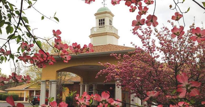 A scenic view of a tower framed by blooming spring flowers.