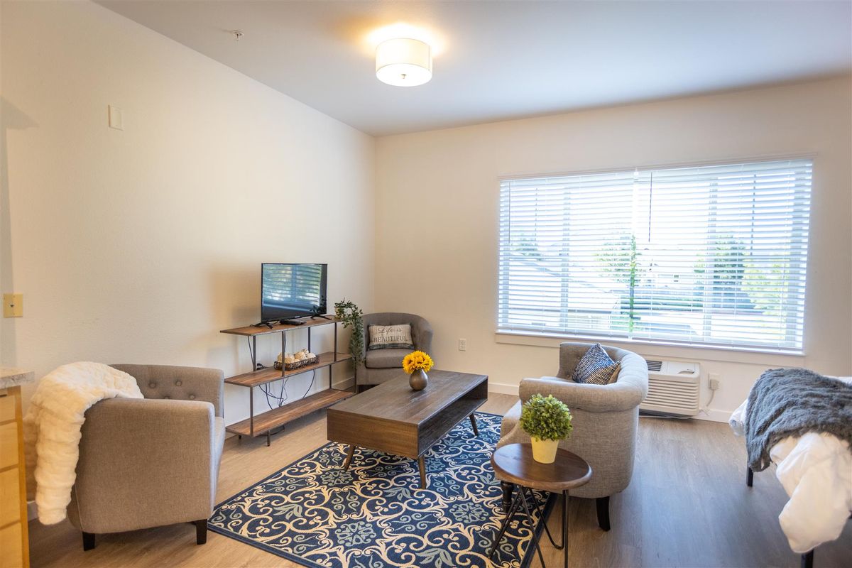 A cozy living room with modern furniture, featuring a TV and a coffee table, accented by a patterned carpet and natural light from the window.