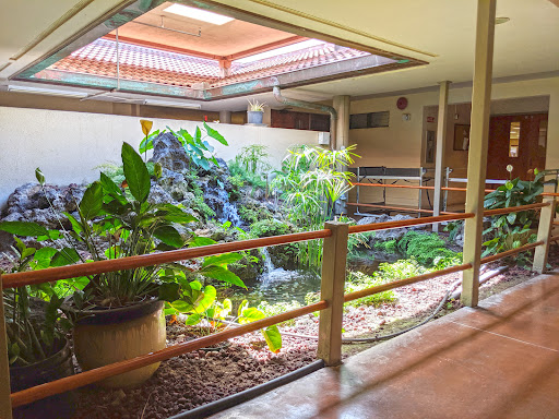 A serene indoor courtyard featuring lush plants and natural light filtering through the roof.